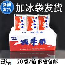 (Fresh date delivery)Mountain flower milk red bag of pure milk breakfast with milk whole box of 20 bags