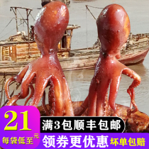 Long-legged octopus ready-to-eat spicy bagged canned seafood spicy head fresh food Wharf Lady cooked food