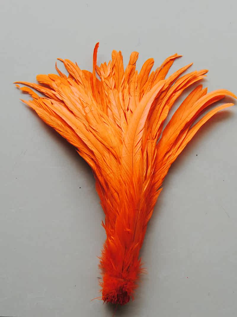 三年以上公鸡尾毛 鸡毛 羽毛 n色 1根 服装辅料 演出用品舞台道具