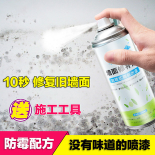 wall self spray paint  paste wall  white household decontamination  graffiti moldy  paste