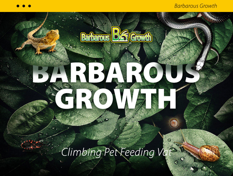 酷克宠物爬宠桦木躲避蜥蜴守宫蛇躲避屋爬虫造景仓鼠树皮洞穴