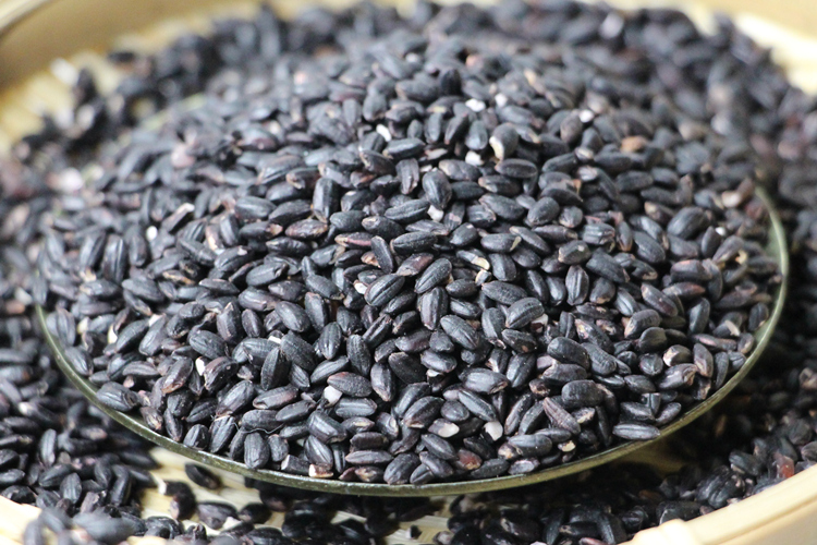 贵州惠水黑糯米500g纯黑糯米紫糯米血糯米 2018年新米非黑米紫米