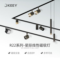 Enterprise lighting R22 magnetic track light household embedded led spotlight 48V living room concealed surface-mounted line light