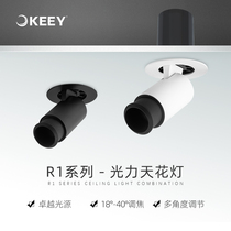 Enterprise one lighting able to stretch led spotlight recessed bulleye light living room background wall adjustable charred ceiling lamp 10W