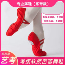 Childrens art exam ballet shoes Lace-free one-pedal cat claw shoes Two-point soft-soled body shoes Adult men and women