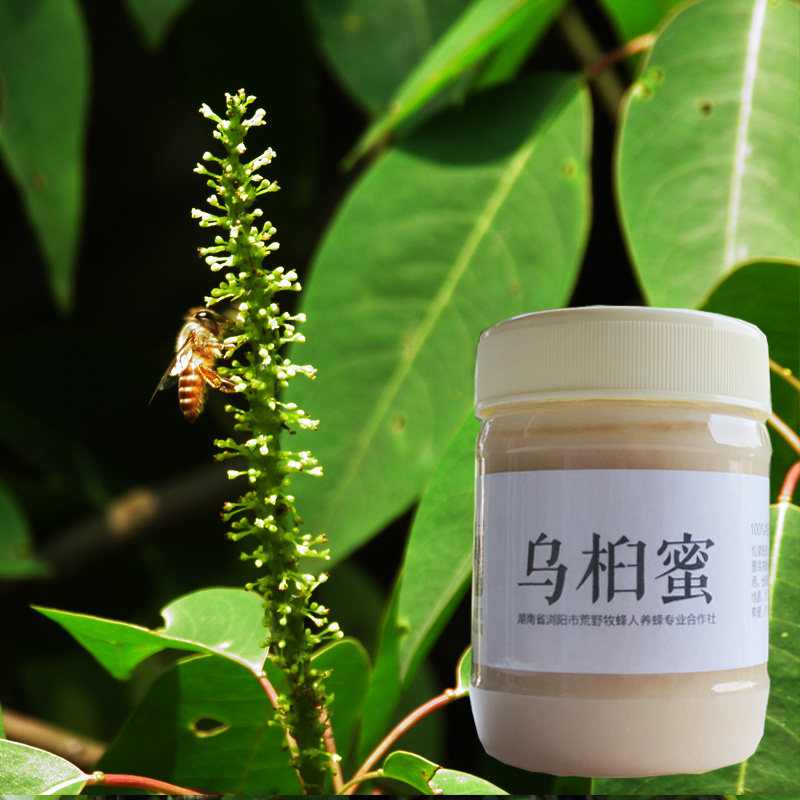 荒野牧蜂人丨乌桕蜜丨童年的小伙伴 深山土蜂蜜