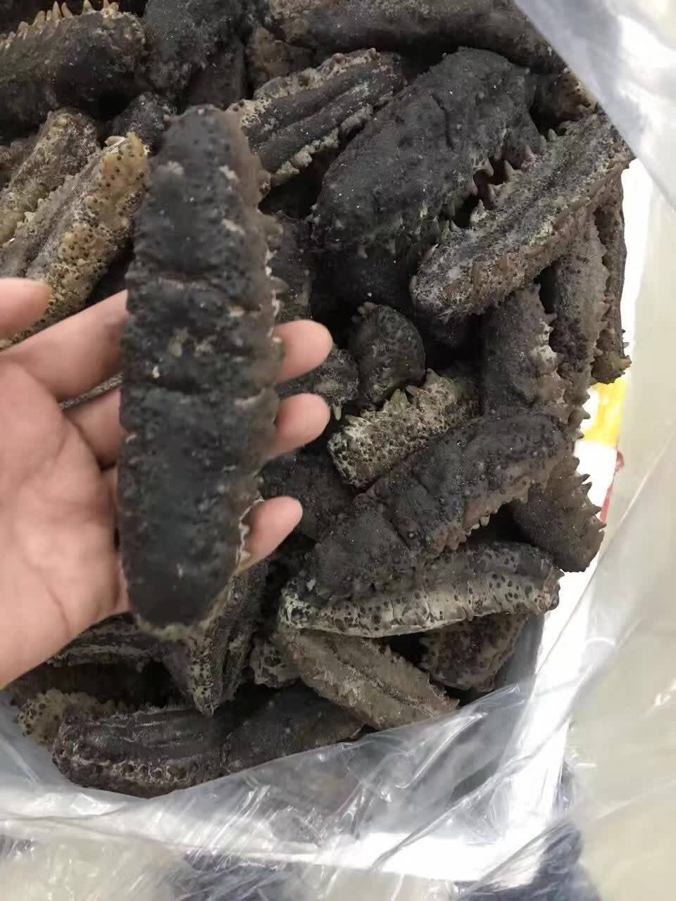 美国进口肥仔海参 南美参 墨西哥刺参 野生淡干足参500克