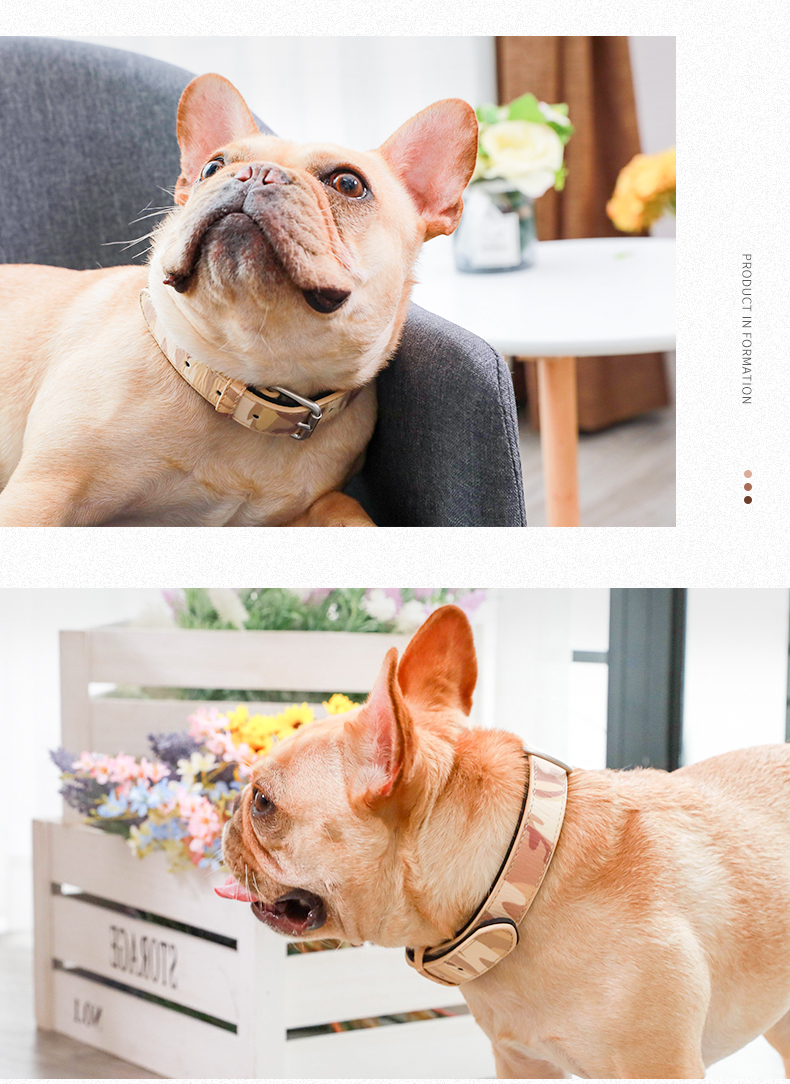 狗狗项圈狗圈颈圈法斗脖圈脖套可调节小型中型大型犬金毛宠物用品