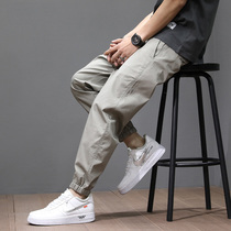 Hong Kong Boomer Spring Autumn Season High-end Casual Pants Mens Trend Easy to Increase Code Beam Feet 90% Little footed Harun Pants