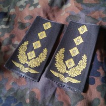 Germany imported gray green wings 1 flower 4 star set velcro badge