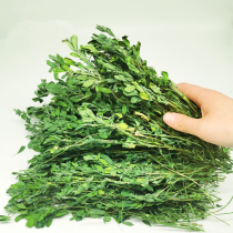 In 2019 the new grass A- level alfalfa has tasted my grass and never goes to another house with a gross weight of 1kg.