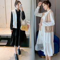 Pregnant women autumn suit fashion dress 2020 new sweater vest two-piece Foreign Air Age skirt