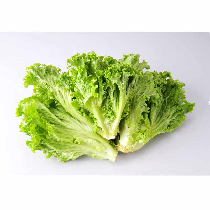 【029网上超市】新鲜蔬菜生菜生态蔬菜/大叶生菜 500g 同城配送