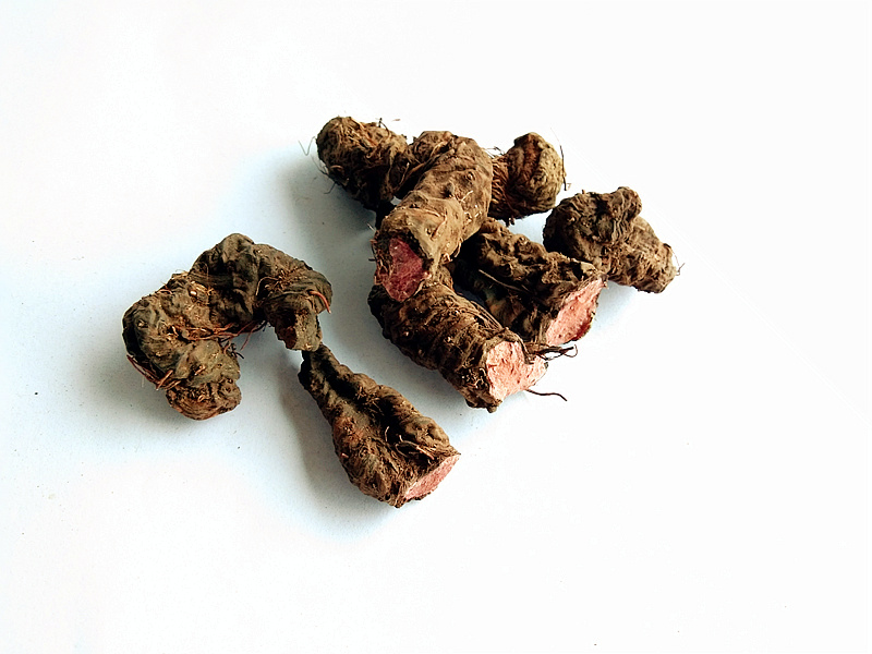 贵州草药拳参 中药材草血竭根地马蜂老腰弓一口血地蜂子干货500克_双