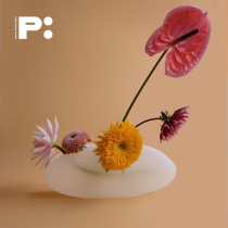 PRINT: HI FOG SERIES PATENT DESIGN VASES LIVING ROOM FLOWER ARRANGEMENT WATER RAISING VASES CREATIVE MINIMALIST FLORAL