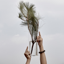 PRINT:HI Patent design Rosen bridge flower ware transparent hydroponic suspension bell horsetail pine minimalist around vase