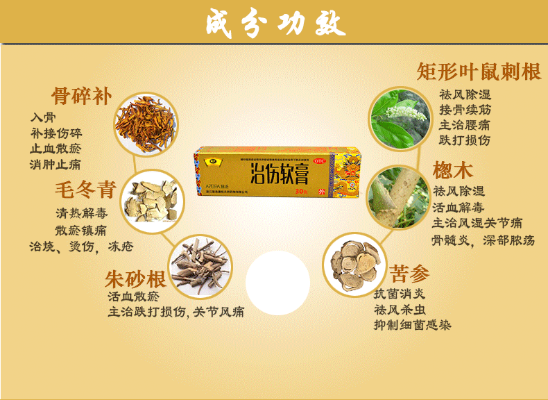 康裕 治伤软膏 30g2897