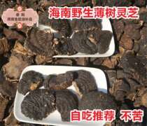 Small number Hainan thin tree cheese 500g thin cover Lucid Glossy layer of Pore Fungus Black Lingzhi without sulphur to be bitter