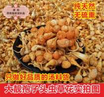 North Caterpillar Fungus Golden Caterpillar Fungus Caterpillar Fungus Red Peak Caterpillar Fungus Flower Class Large Spore Head Caterpillar Fungus Soup Stock 500 gr
