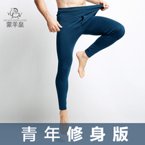 Mengyang Emperor (youth slim version) winter mens thick wool pants warm pants thin version modal leggings