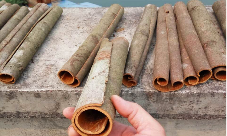 精选广西桂皮 西江桂皮八角香料大料卤菜火锅料500克满56元包邮