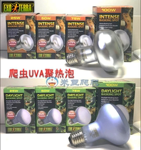 EXOTERRA UVA hijin turtle reptile heating day light rainforest Johor desert 50W 50W 70W 100W