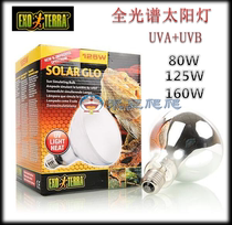 Canada EXO TERRA Hijin Sun Light UVA and UVB Calcium Supplement Warm Ultraviolet 80125160 W