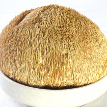 Fresh monkey head mushroom dried new wild Daxinganling fresh Northeast wild premium edible 500g Changbaishan mushroom powder