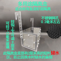 Golden Wave Subbreeding Box Small Fish Incubators Isolation Box The Netherlands Customize The Fish Acrylic Fish Tank Custom Peacock Isolation Net