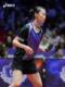 ASICS/ASICS 공식 New Table Tennis Badminton 배구 유니폼 트레이닝 슈트 스포츠웨어 빠른 건조 및 통기성 ASICS/ASICS 공식 New Table Tennis Badminton 배구 유니폼 트레이닝 슈트 스포츠웨어 빠른 건조 및 통기성