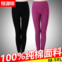 Constant Source Xiang Lady Autumn Pants Pure Cotton Thin style beating bottom medium-high waist warm cotton wool lining pants big code loose inner wearing single piece