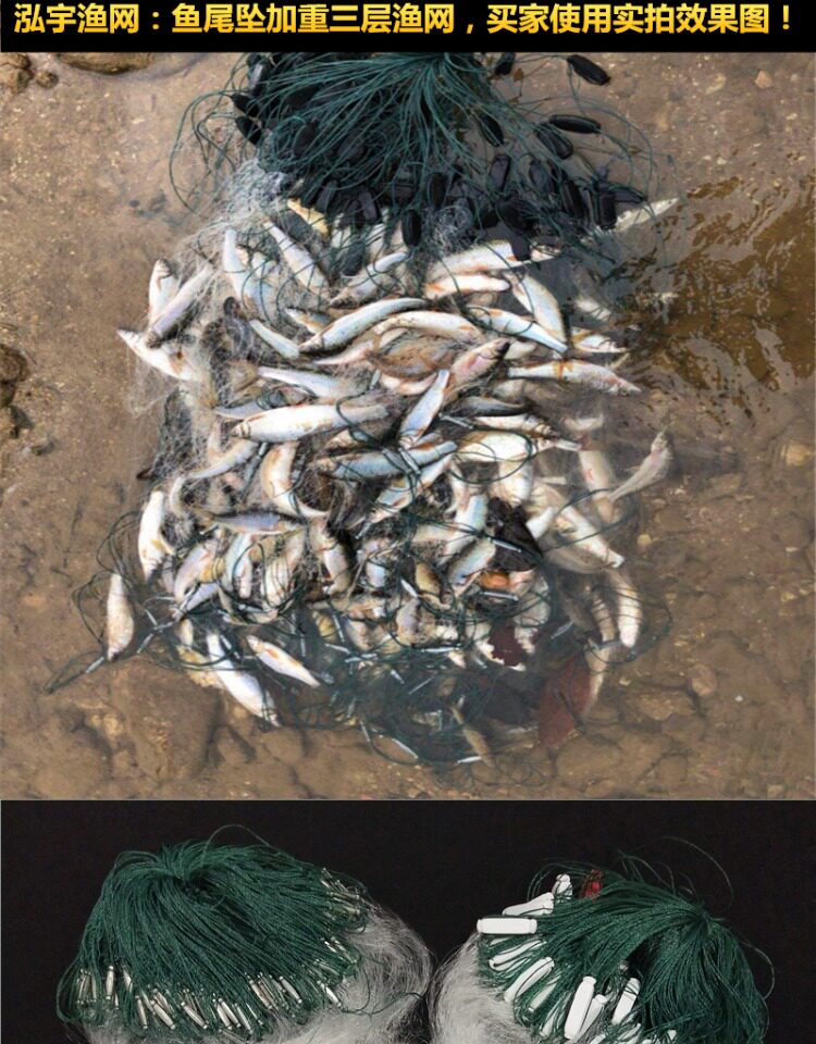 加重鱼尾铁坠4米高5米高6米高三层渔网粘网丝挂网捕鱼网 泓宇渔网_双