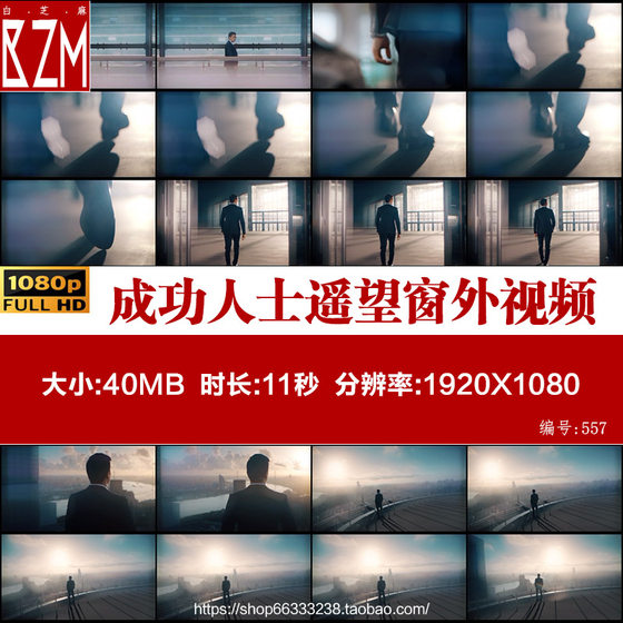 Atmospheric business successful person entrepreneur suit man looking out the window with his back view HD real video material
Atmospheric business successful person entrepreneur suit man looking out the window with his back view HD real video material