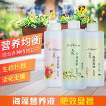 Plant general-purpose nutrient solution soil hydroponic flower green multi-meat green leaf fertilizer potted flower fertilizer liquid organic fertilizer