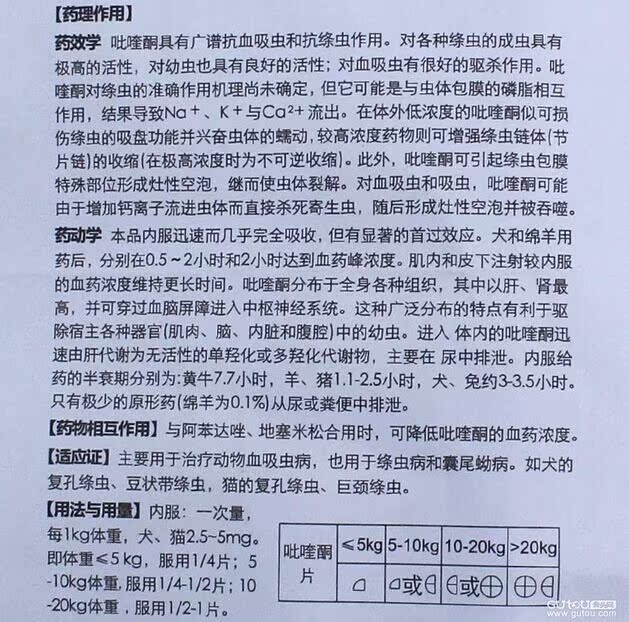 E药馆 雷米高狗狗体内驱虫药一粒清1盒 犬猫宠物驱虫药品泰迪金毛产品展示图1