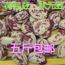 High quality Yunnan large grain zebra bean-kidney bean-kidney bean-like bean-like large flower bean powder glutinous 500g