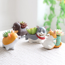 Creative personality fleshy flowerpot small cute puppy animal micro landscape cartoon desktop decoration potted small furnishings