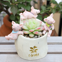 Creative cute climbing cylinder small ornaments micro landscape flower pot decoration accessories cartoon animal multi-meat flower pot with decoration