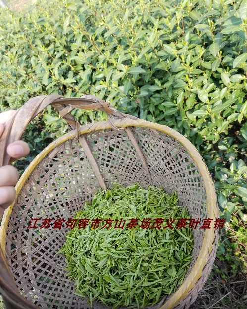 2019江苏句容特产方山茶场清明前茶农自制龙井翠眉绿茶叶秒杀100g