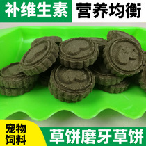 Mini living pet Rabbit rabbit grindstone Tooth Zero Food Quality Grass Cake Grindstone Pasta