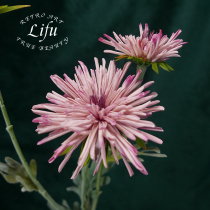 Crab claw daisy emulation floral single branch Plush Sensation Silk Flowers Fake Flowers Living-room Tea Table TV Cabinet Table Decoration Pendulum