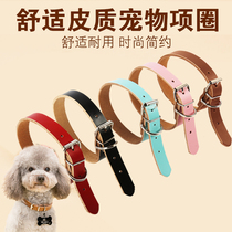 Pet dog collar 5 colors optional small and medium-sized dog collar collar Teddy Bai Bear dog collar