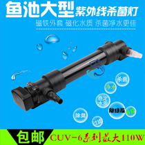 Sensinger pool CUV-618 624 636 655 672 6110 outdoor fish pond high efficiency germicidal lamp resistant to high pressure