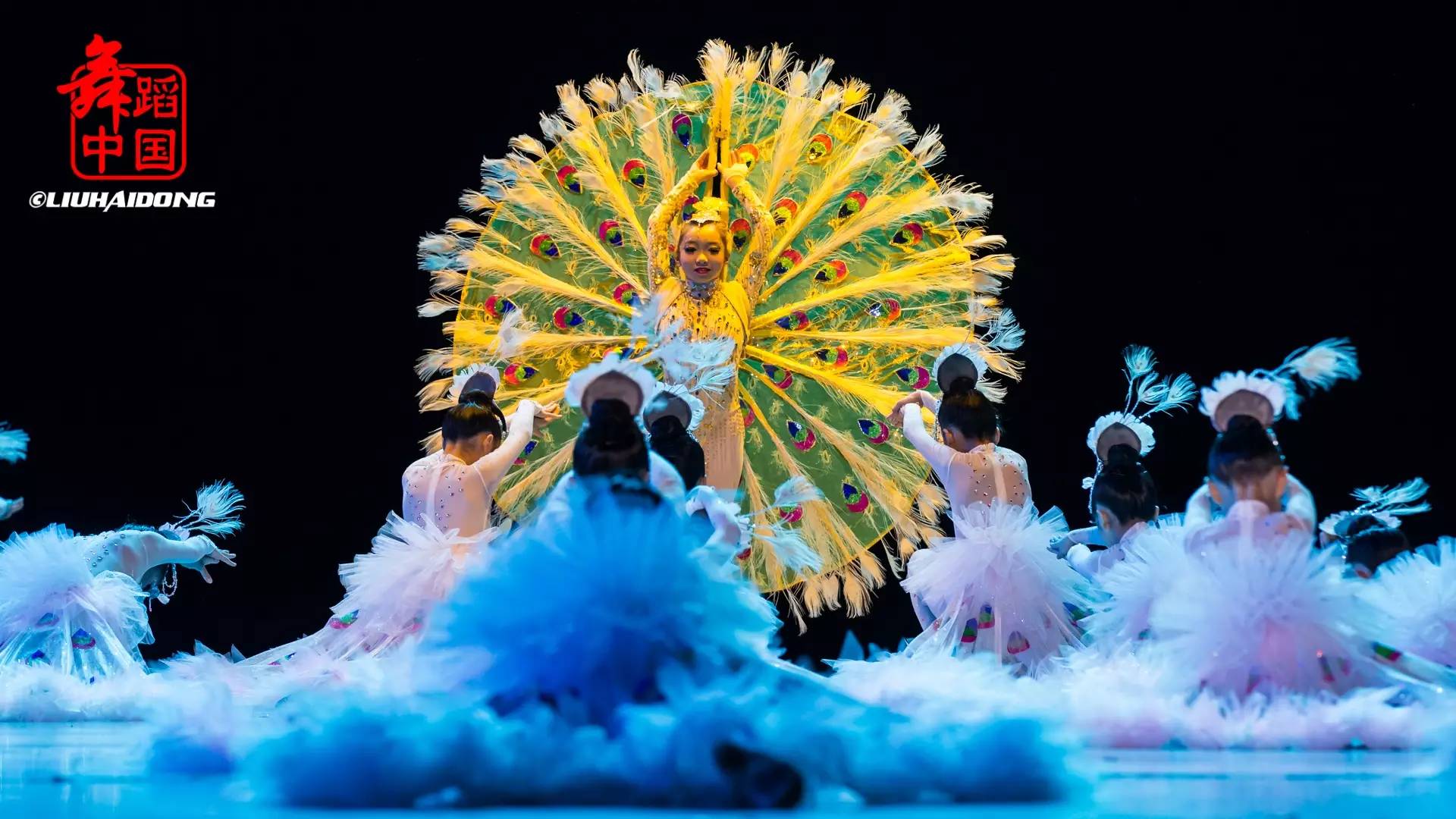 新款第八届小荷风采小白翎儿童舞蹈表演服装舞台演出服新款孔雀舞