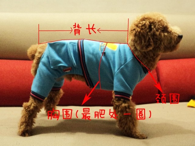 大中小型宠物犬四脚雨衣服狗狗金毛萨摩耶松狮边牧古牧苏牧用品