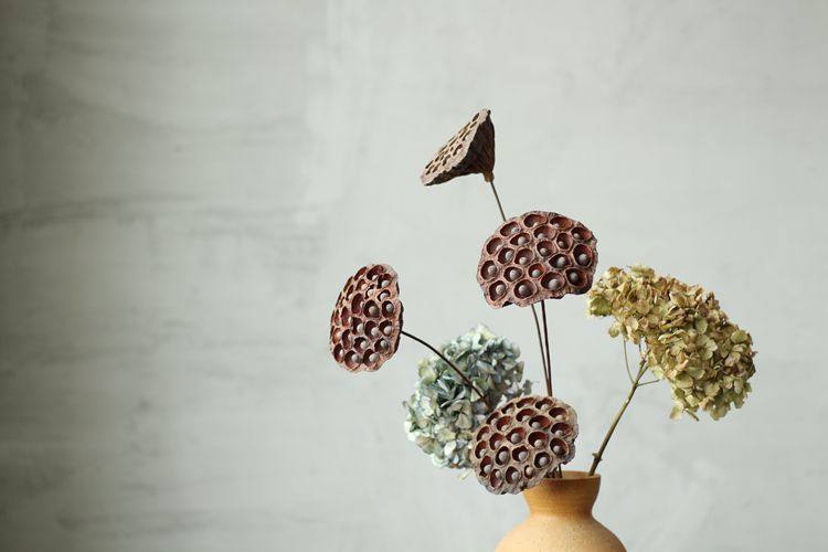 【山树】带籽莲蓬家居装饰会所摆设艺术组合干花拍摄道具天然莲蓬