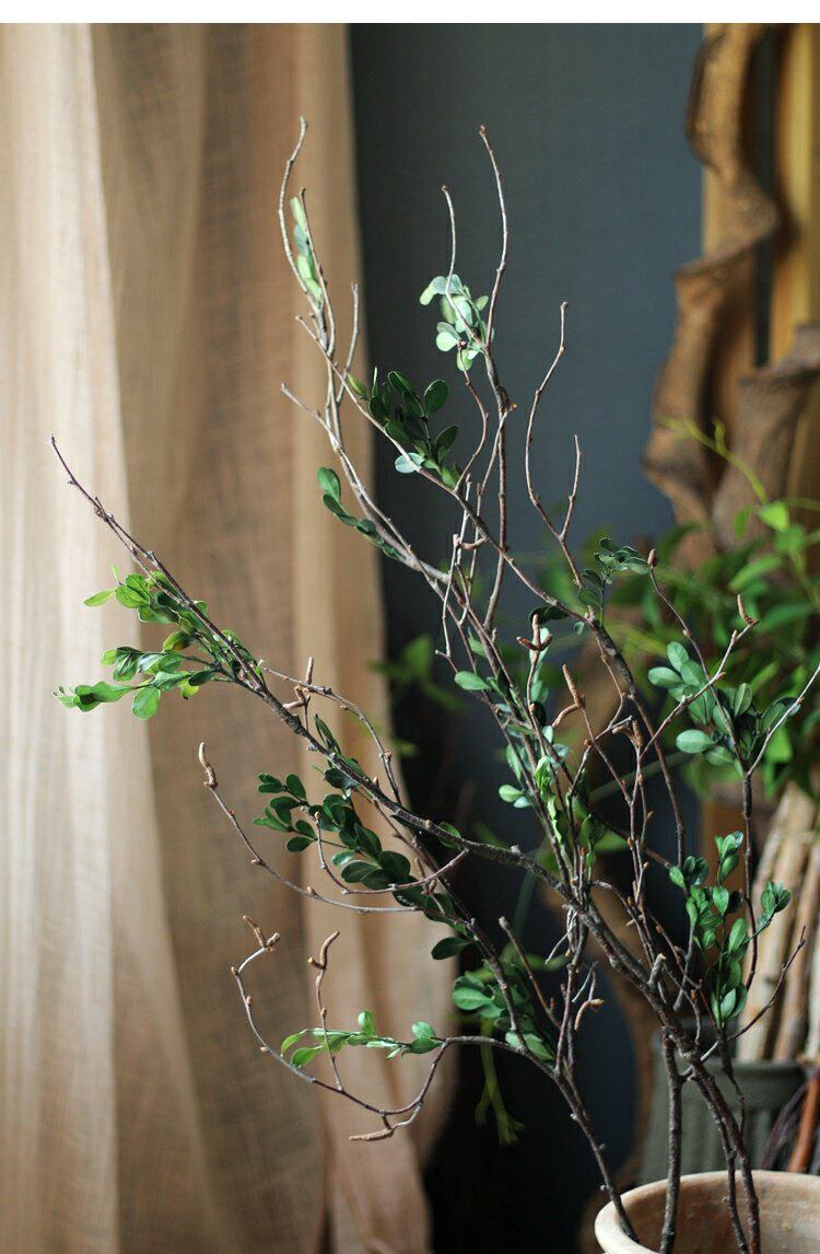 【山树】遇水会开花干花枝真花腊梅干枝干花艺术家居创意花插天然_双