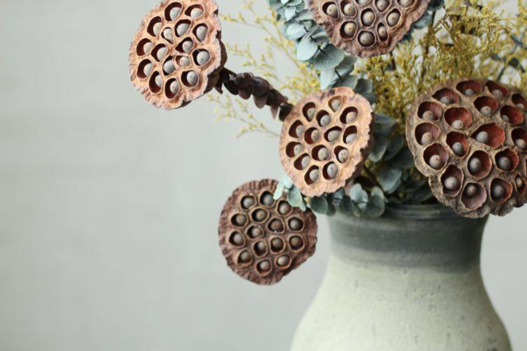 【山树】带籽莲蓬家居装饰会所摆设艺术组合干花拍摄道具天然莲蓬