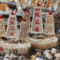 Smooth Sea Shell Ship natural conch shell crafts ornaments Mediterranean decoration gift 002