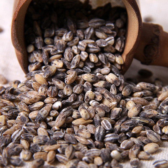 黑小麦 麦仁农家黑麦米去皮黑麦 富硒黑小麦250g 五谷杂粮 黑麦仁